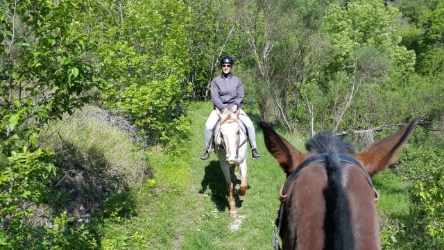  Rodeado de vegetación 