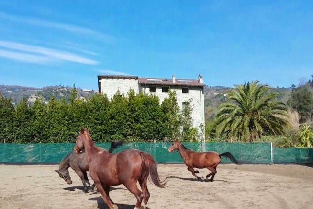 Alcuni dei nostri esemplari :)