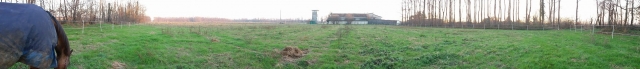 campone in erba.jpg