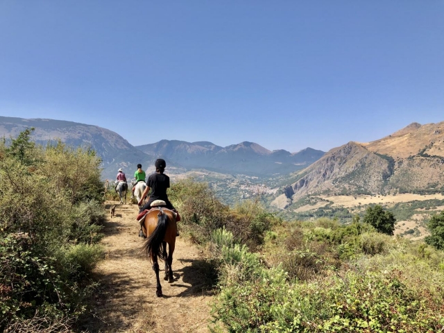 Passeggiando in mezzo al verde
