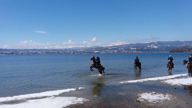 In the middle of Lake Maggiore 
