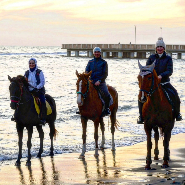 Reiten und Valentinstagsessen in Rom