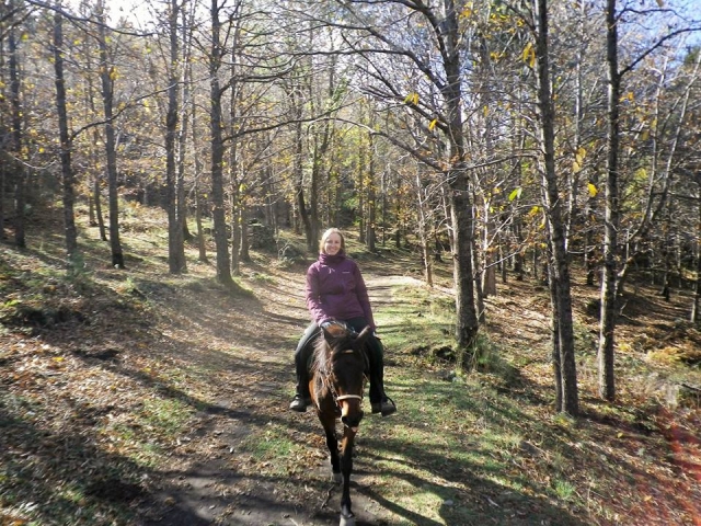  Ätna-Wälder 