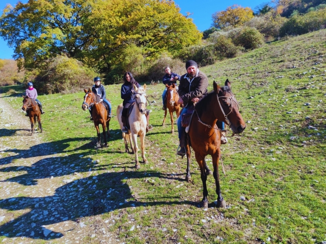  Paseo en grupo 