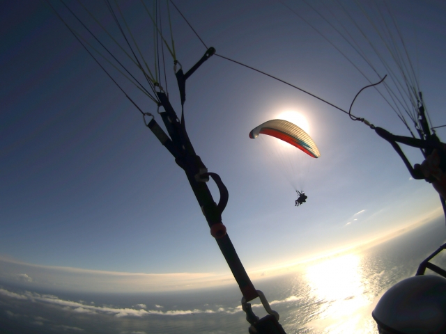  parapenii em pares