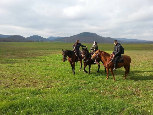 Passeggiata a cavallo nel verde