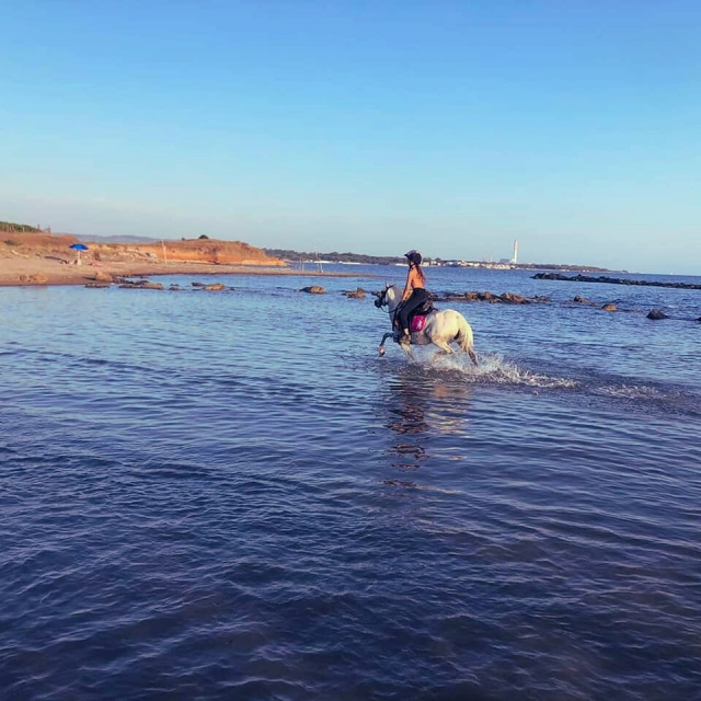  Im Wasser 
