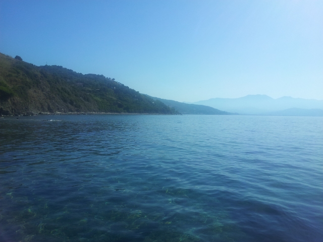  A splendid sunny day 