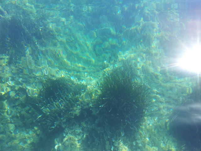  The seabed 
