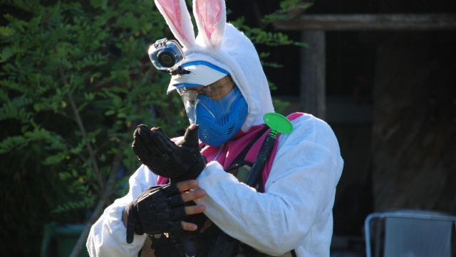  ¡También hay un conejo en el campo! 