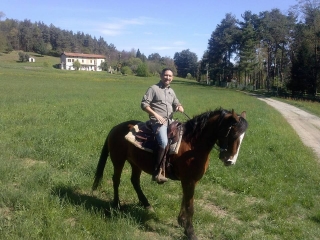 Reiten im Tessiner Park 5 Stunden