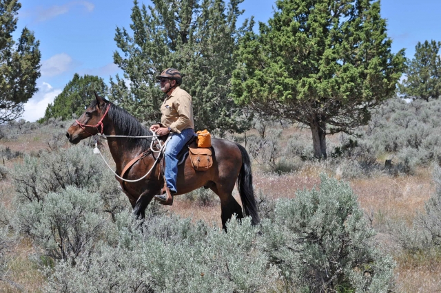  A caballo en la naturaleza 