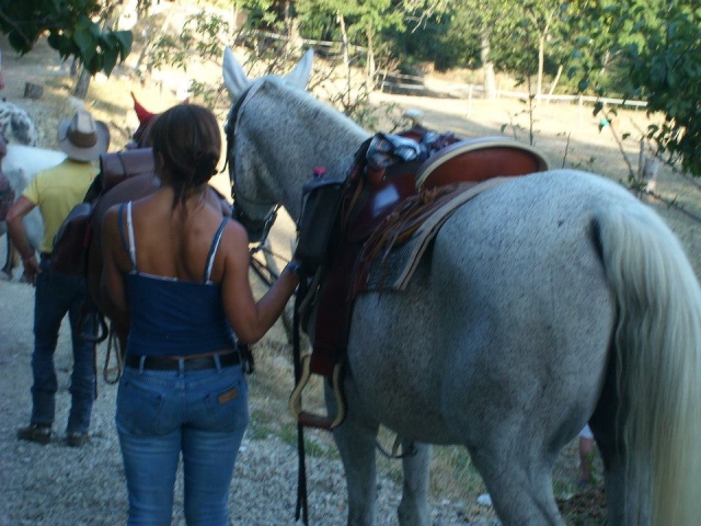 caminhando