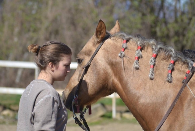  Lição a cavalo 