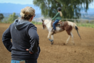 Cours d'équitation d'une heure à Olgiate Comasco
