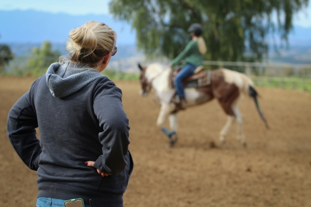 Cours d'équitation d'une heure à Olgiate Comasco