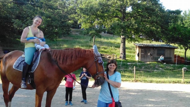  Todos a la silla para un agradable paseo 