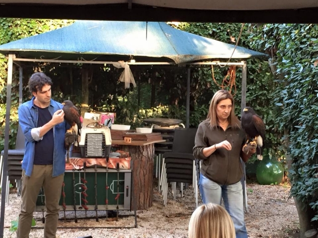 Um dia de Falconiere 