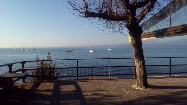 Les bateaux dans le lac 