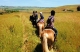 Passeios a Cavalo Basilicata