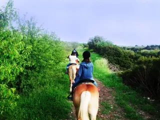 Gravina Canyon horseback excursion (3h)