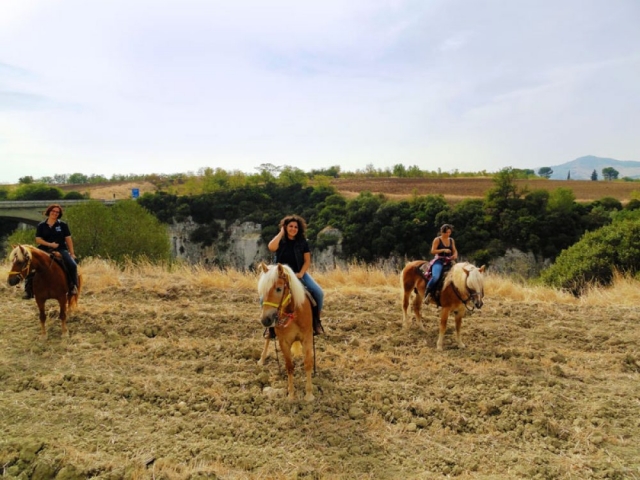 Escursione a cavallo al canyon