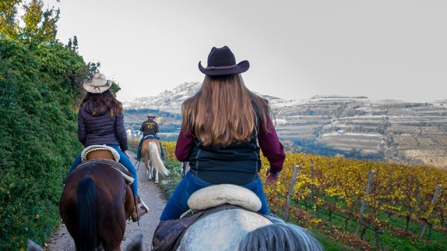  On horseback during a beautiful autumn day 