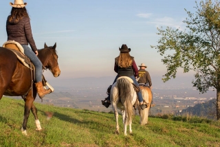 Monteforte d'Alpone 专业骑马之旅 8 小时
