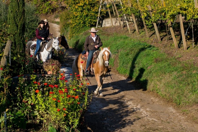  Wandern Sie in der Natur von Verona