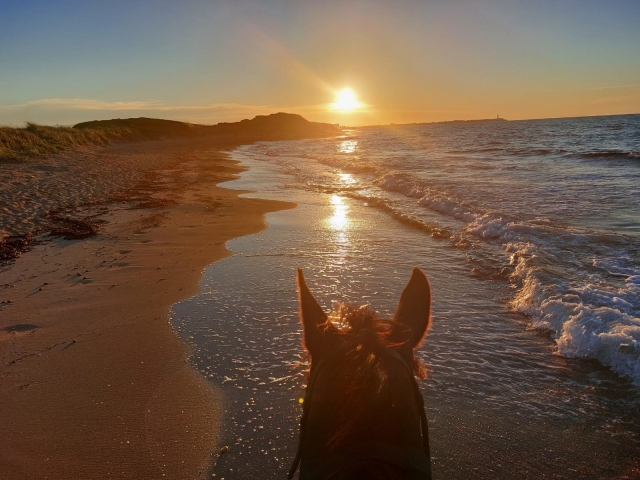 Reiten bei Sonnenuntergang 