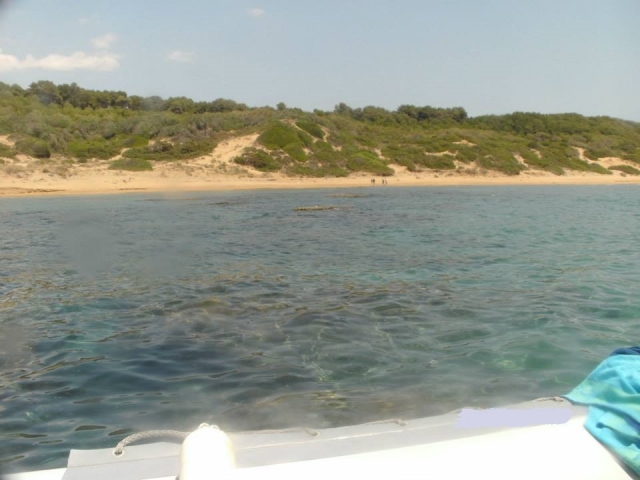  环绕海岸