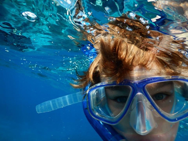  Dive with us 