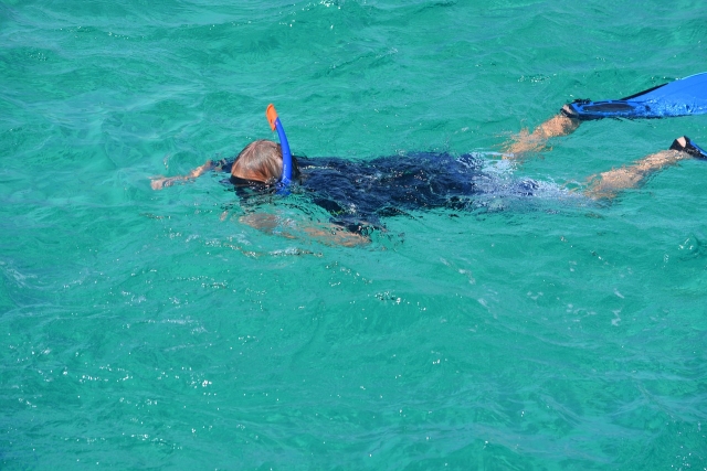  Swimming in the blue 