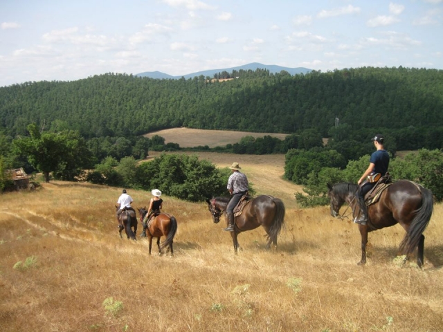 A caballo en la naturaleza 
