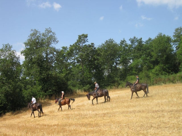  Excursión en compañía 