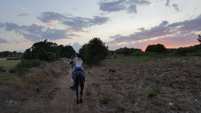夕阳下的乡村漫步 