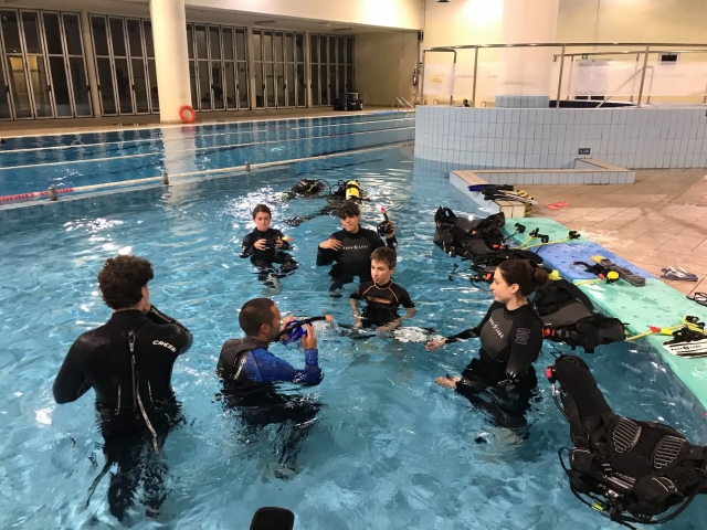  en la piscina para la primera experiencia 
