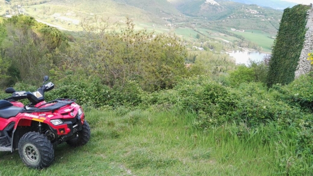 Nella natura