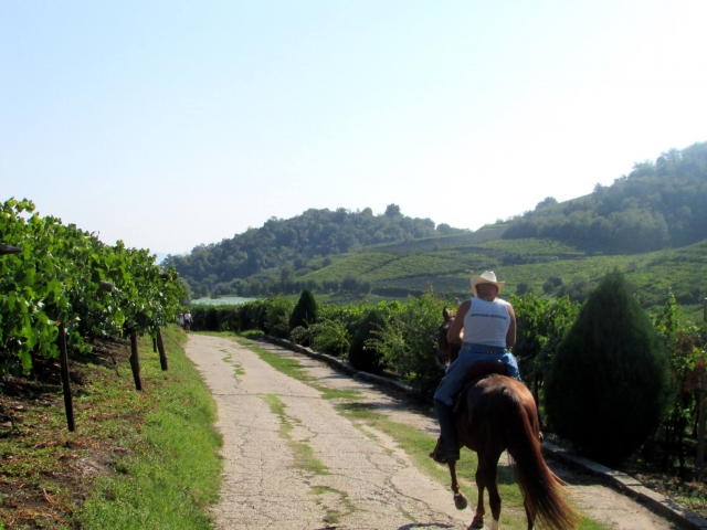  Walk among beautiful hills 