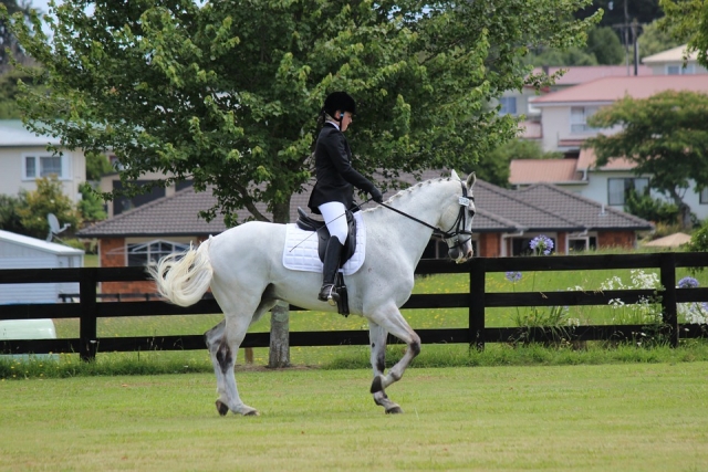  Caballo blanco 