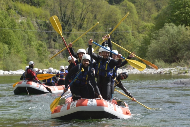 Actividades grupales 