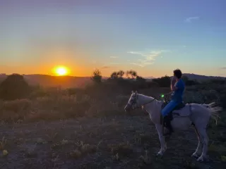Passeio a cavalo no bosque de Sacrofano 1 hora