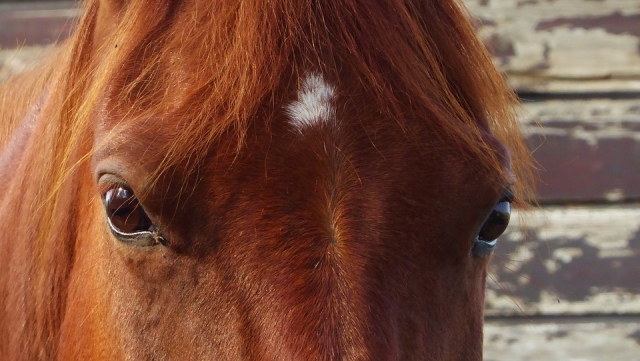Una mirada profunda 