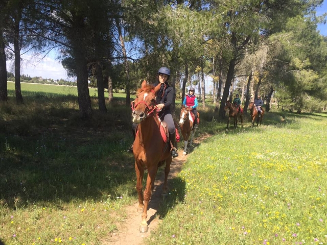  Reiten 