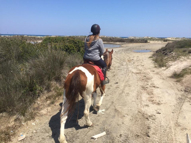  Reiten 