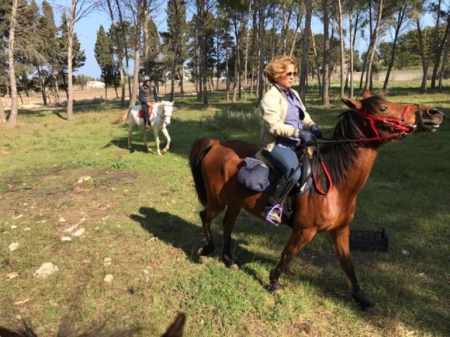  Reiten in der mediterranen Macchia 