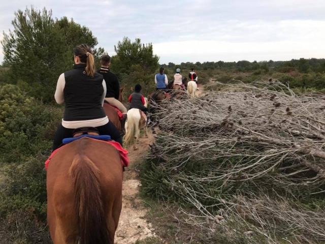  Zu Pferd in der Natur 