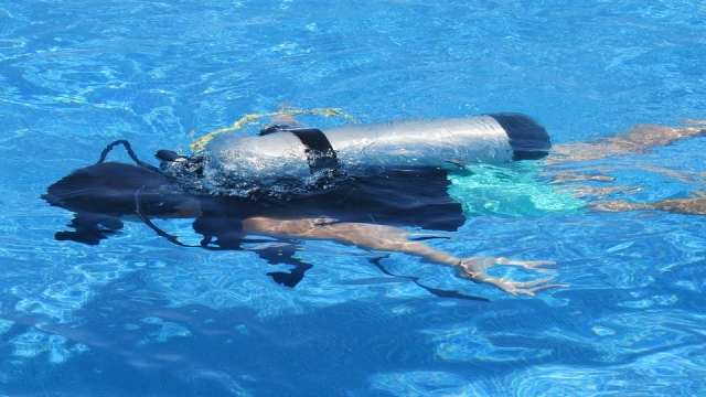 Diver in training 