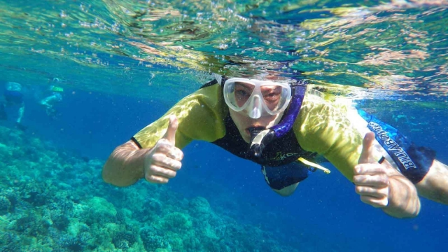  Un plongeon dans la mer 