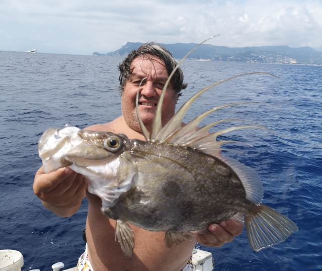  scorfano 